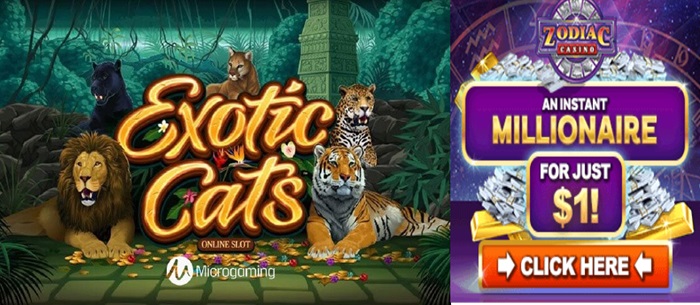 Zodiac Casino's Exotic Cats Slot Review: Can You Tame the Wild Wins of the Jungle? 